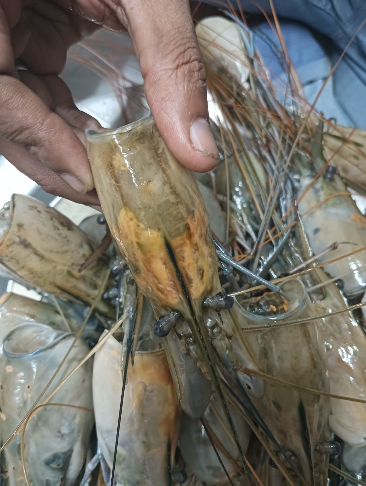 WhatsApp Image 2025-11-22 at 12.38.48 PM