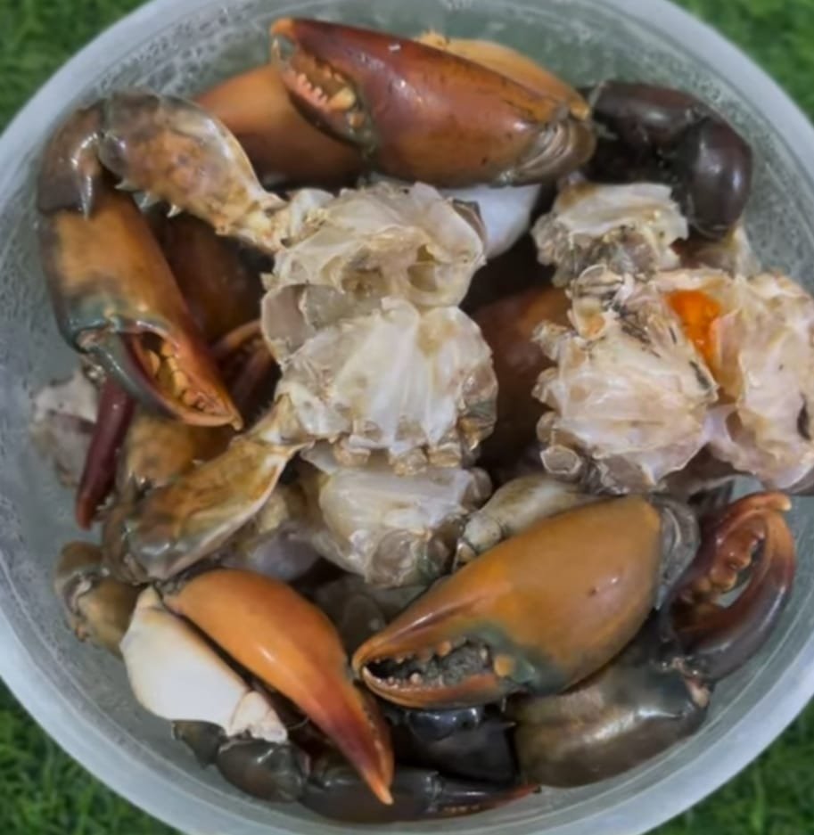 WhatsApp Image 2025-11-22 at 8.09.00 PM (1)